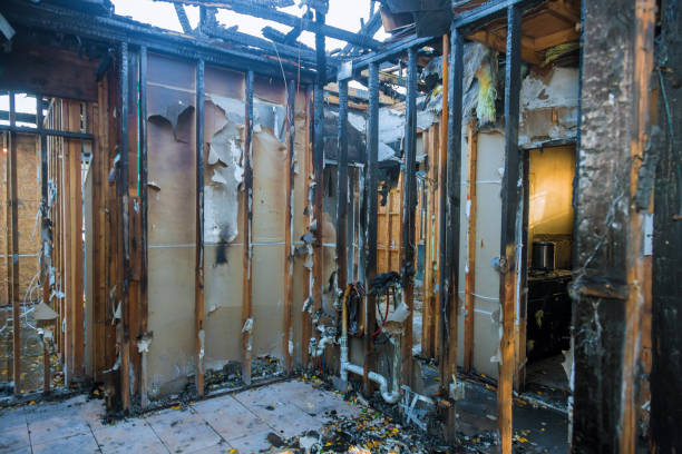 Professional Fire Damage Removal technician working in Gwynedd Valley, PA